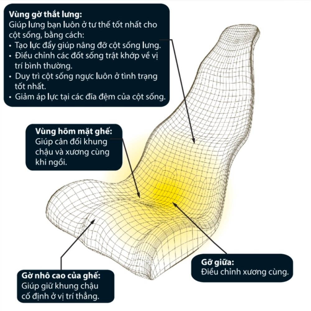 Sản phẩm