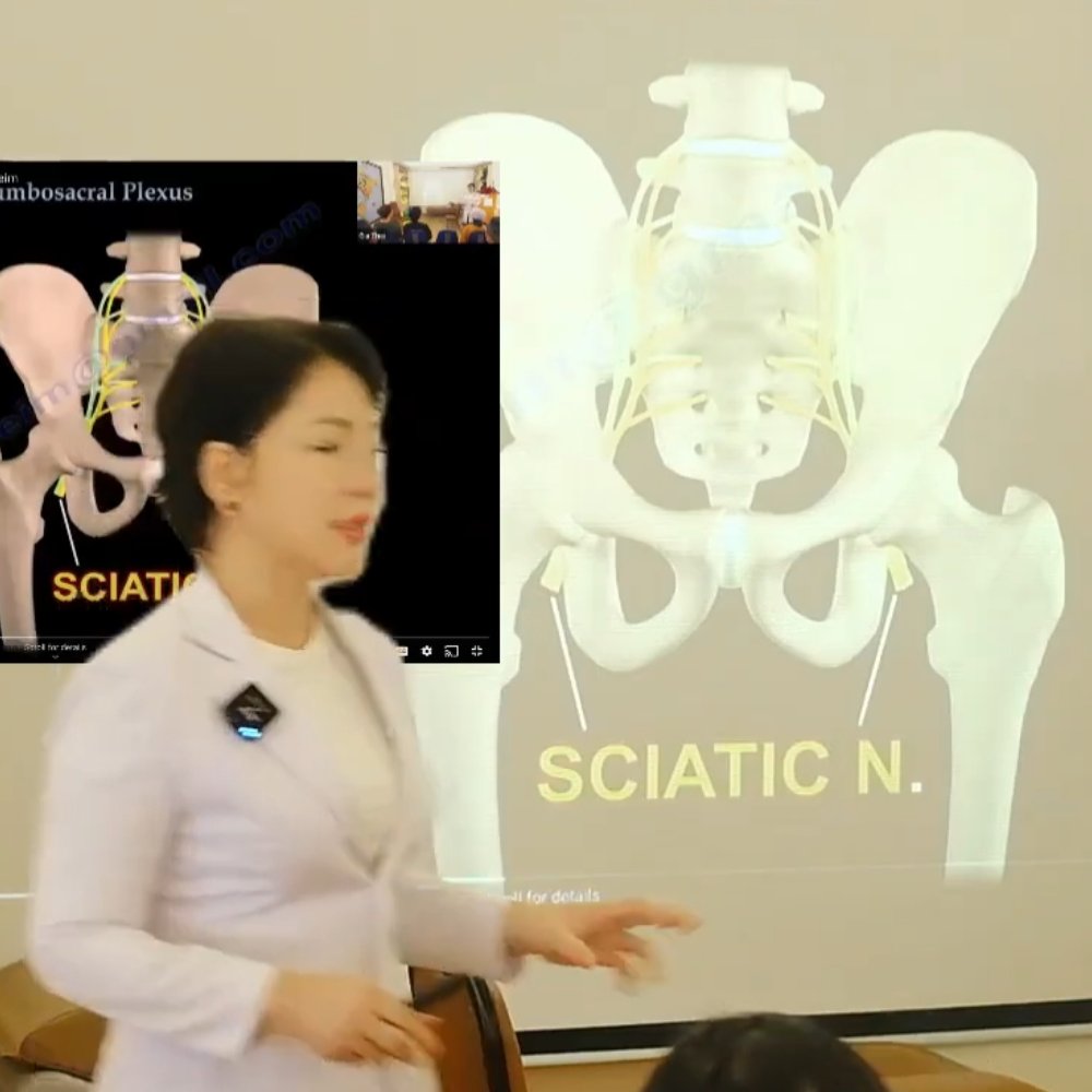 Đào tạo