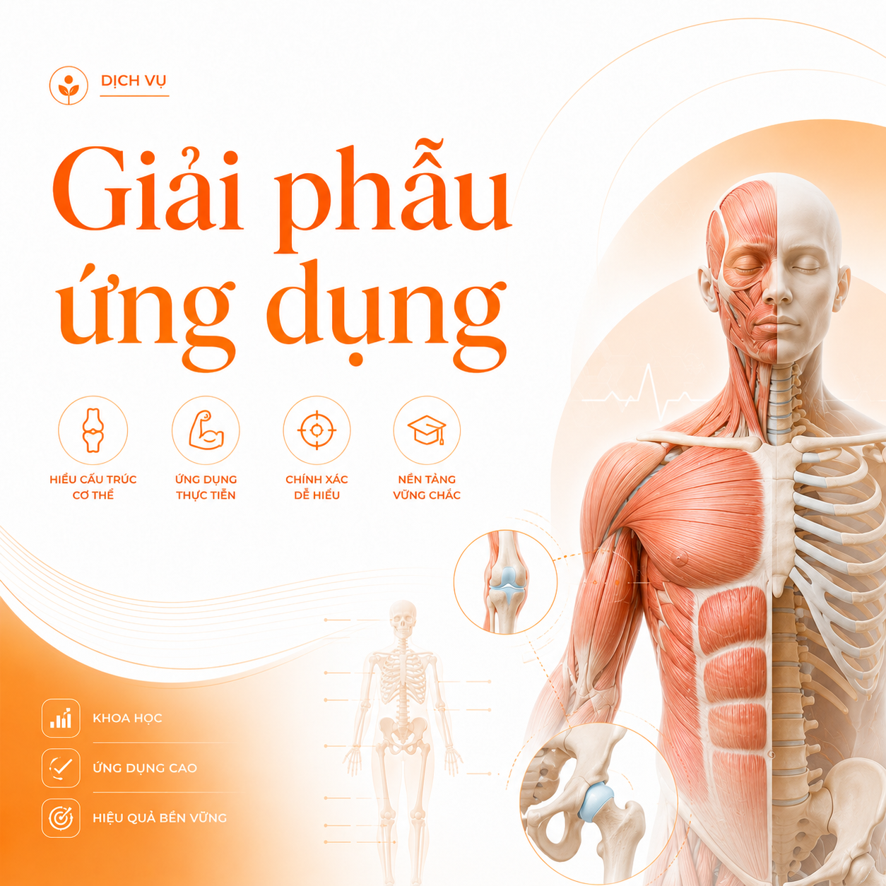 Giải phẫu ứng dụng