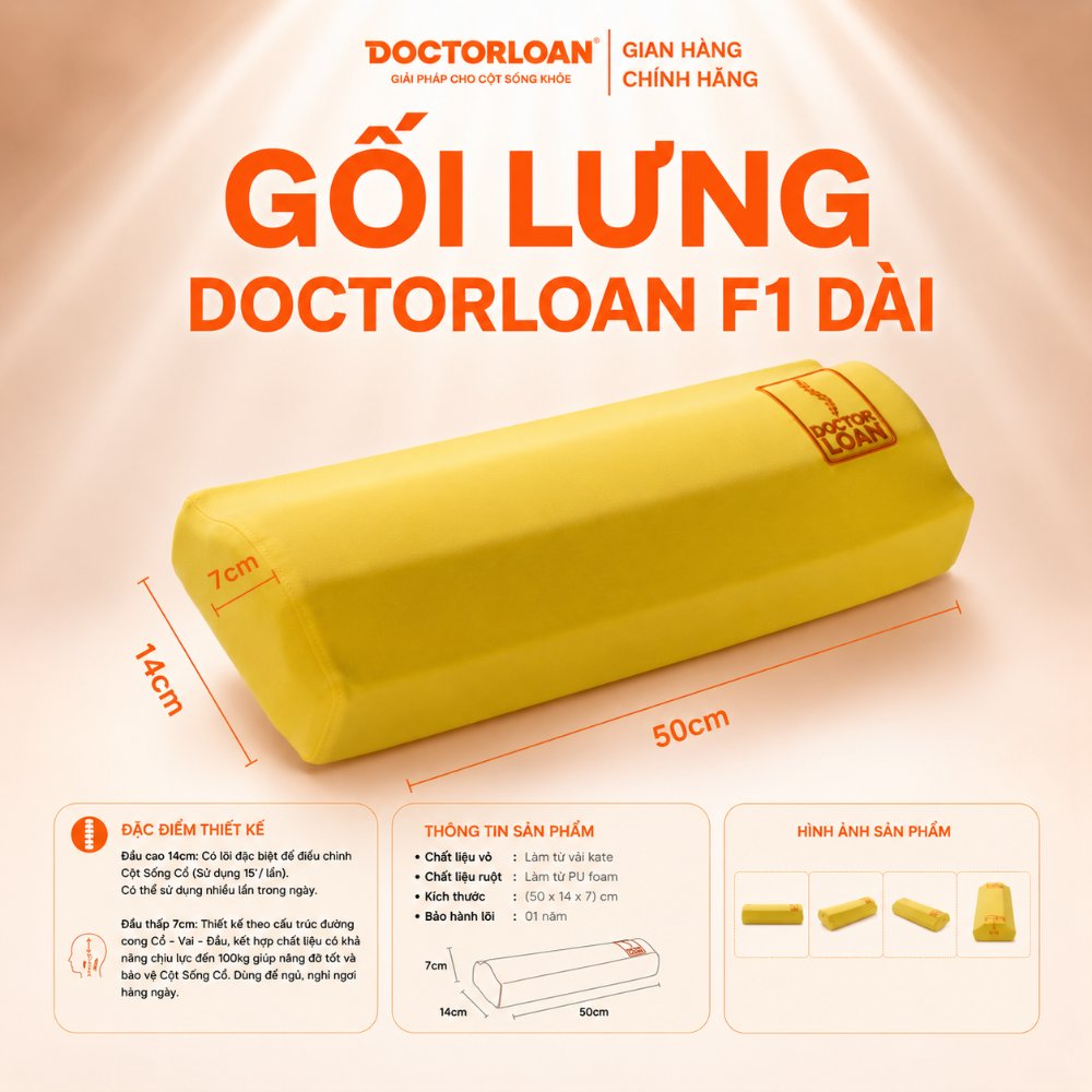 Gối lưng DoctorLoan F1 (Dài)
