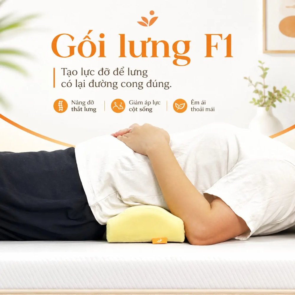 Gối lưng DoctorLoan F1 (Dài)