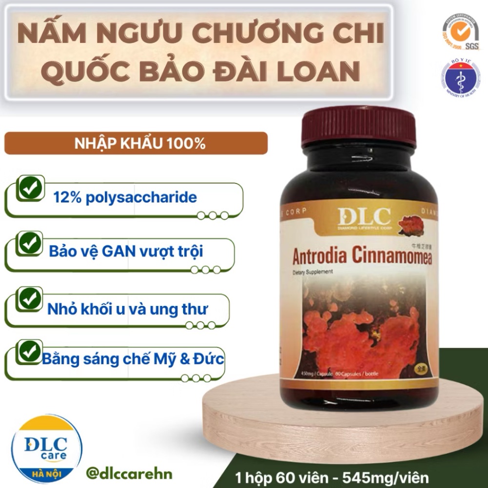 Nấm ngưu chương chi