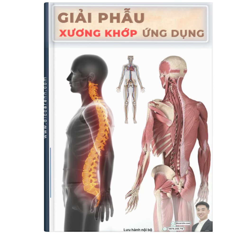 Giải phẫu xương khớp ứng dụng