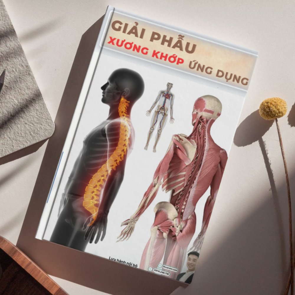 Giải phẫu xương khớp ứng dụng