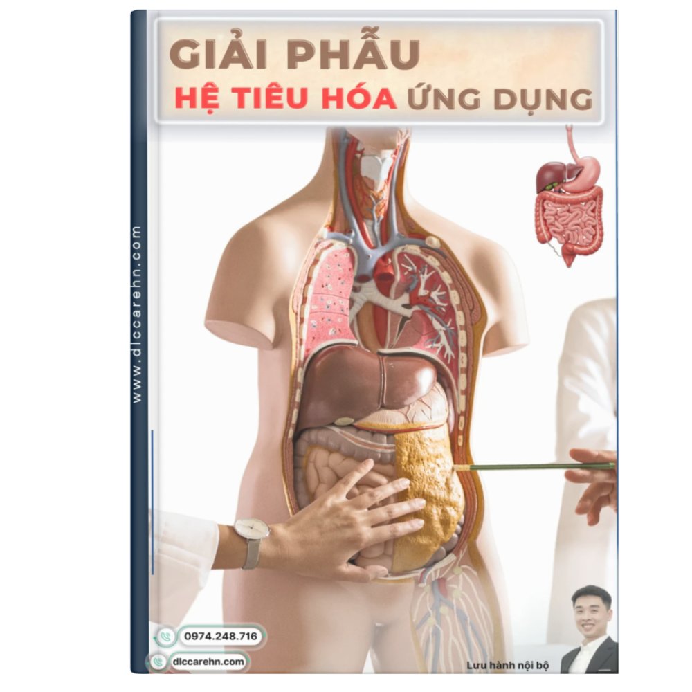 Giải phẫu tiêu hóa ứng dụng