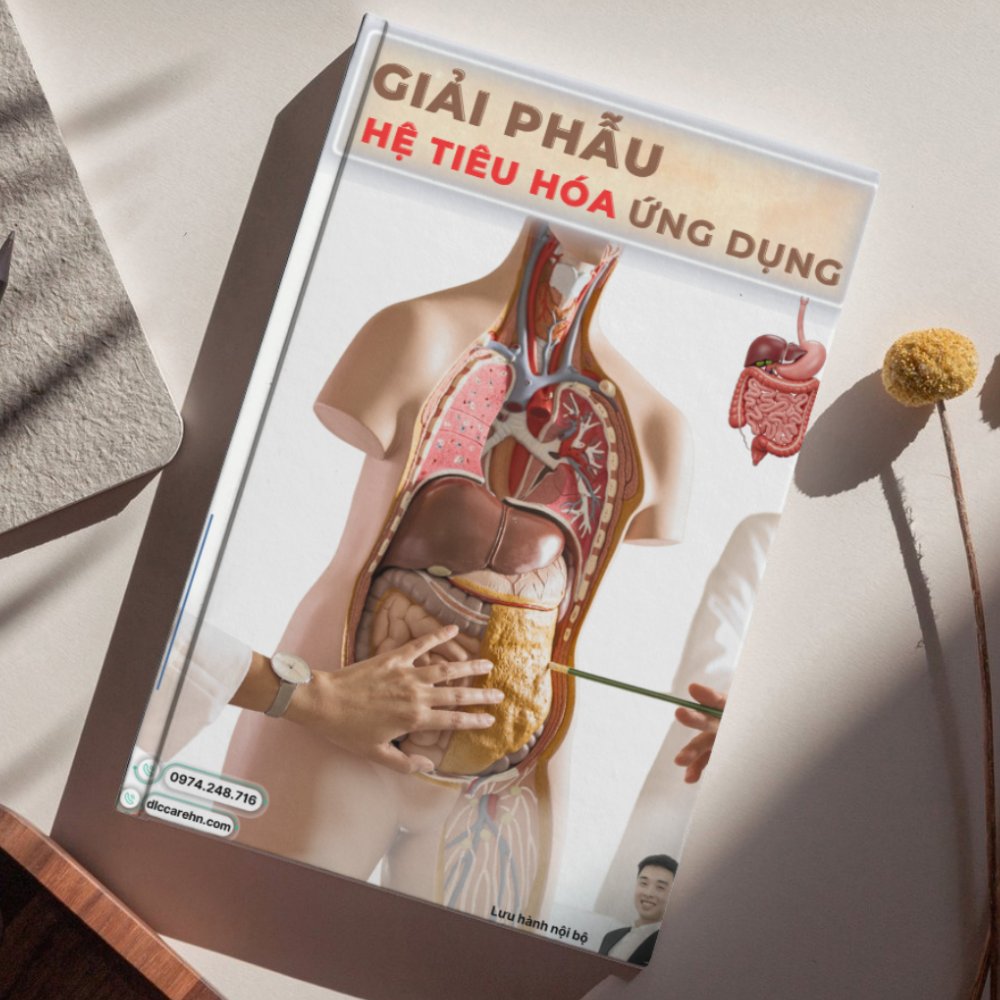Giải phẫu tiêu hóa ứng dụng