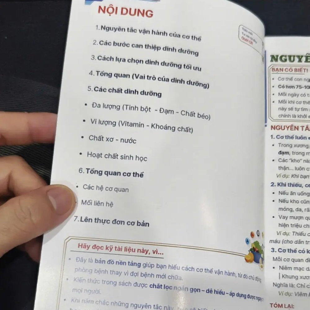 Dinh dưỡng nền tảng