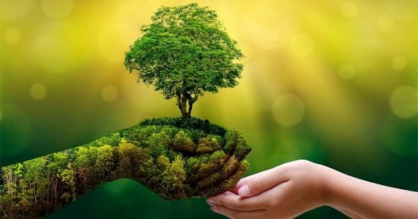 Nâng tầm nhận thức về rừng và bảo vệ rừng