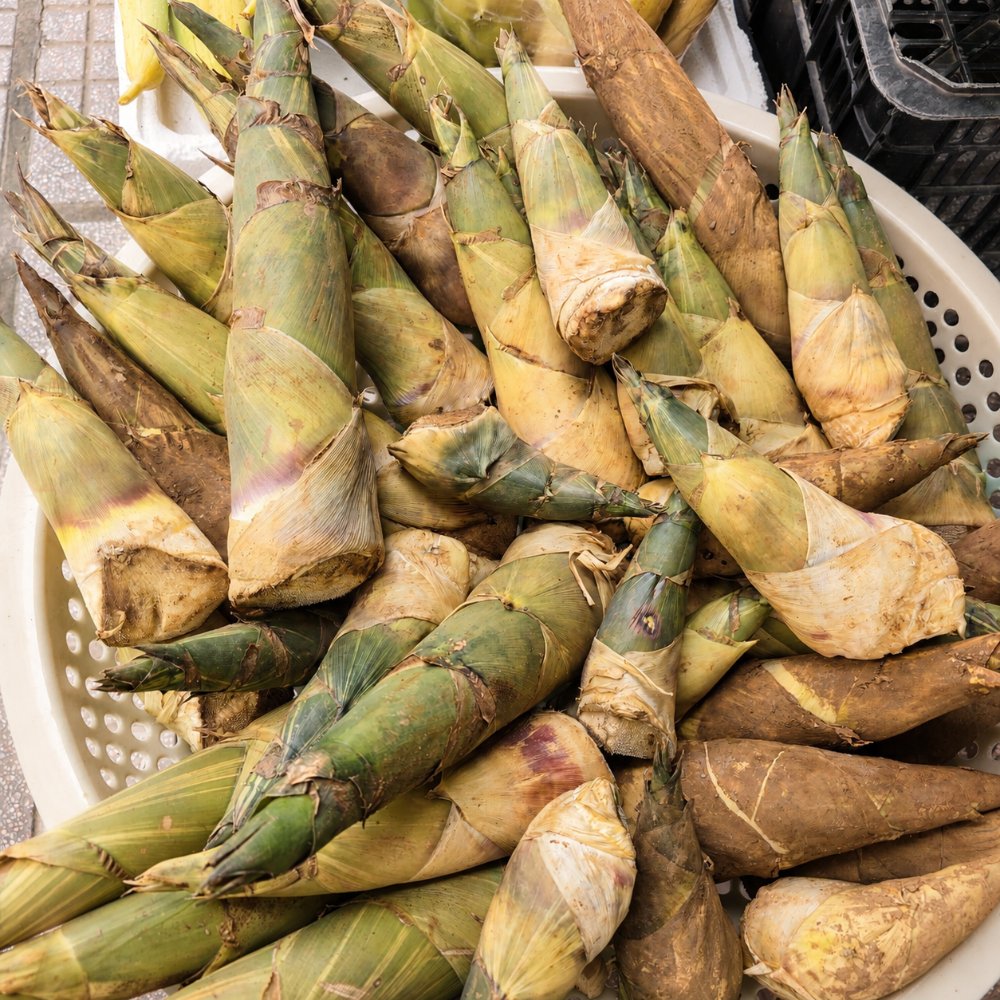 Măng tươi (tre)
