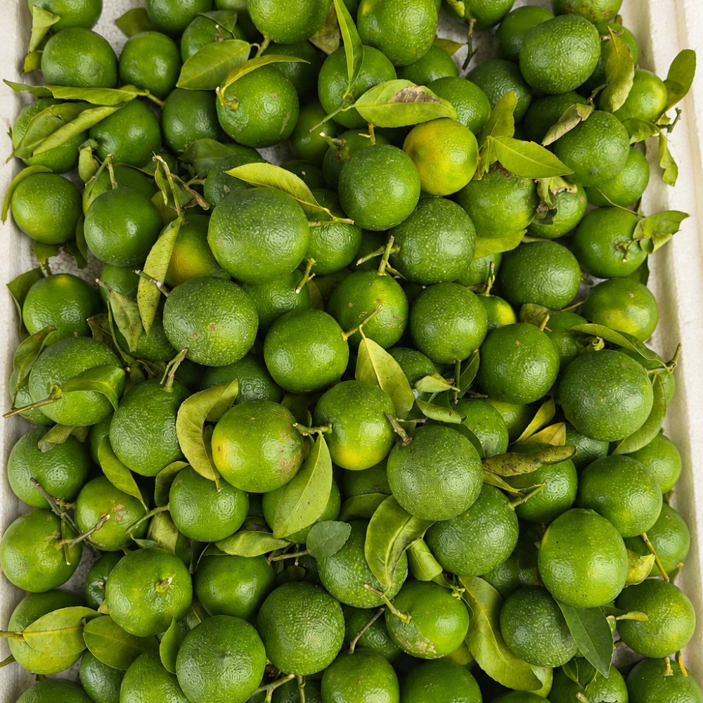 Chanh tươi