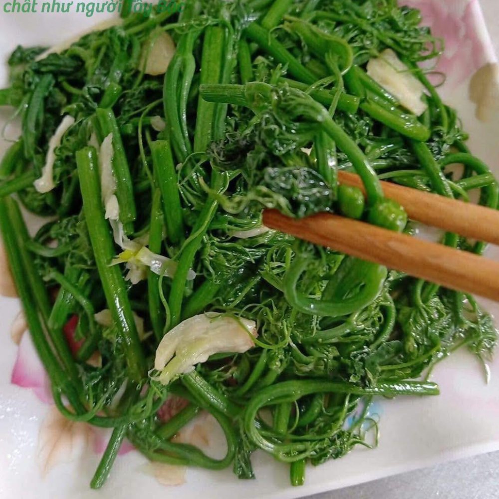 Ngọn susu