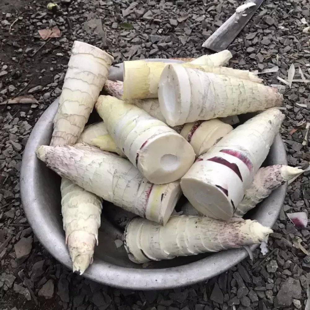 Măng tươi (Tre)
