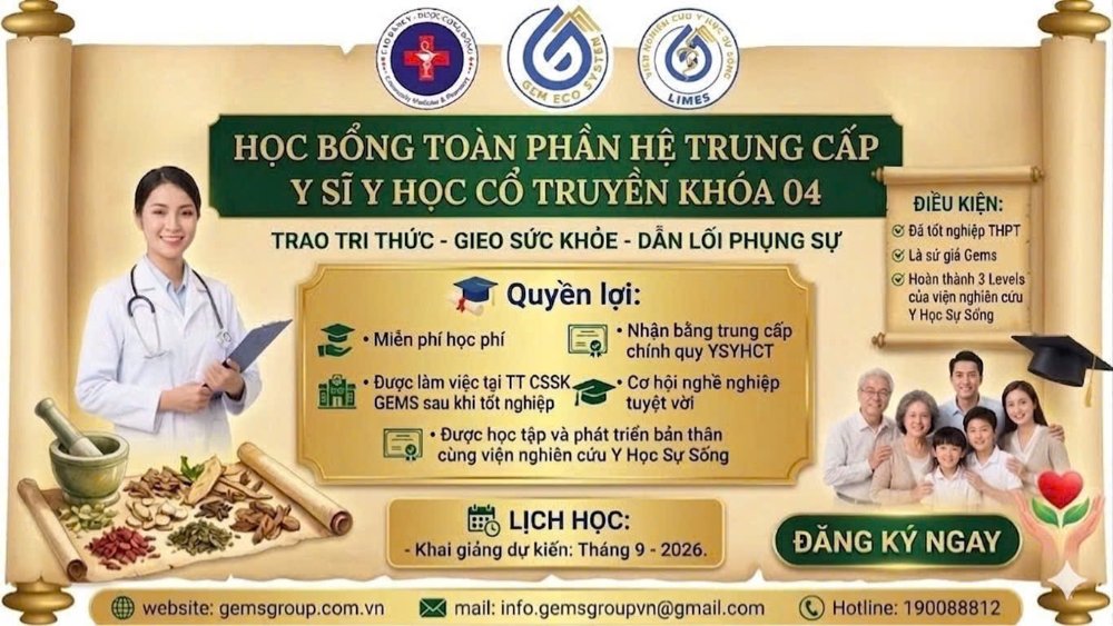 Học & thi đạt 3 Lever của Gems là gì?