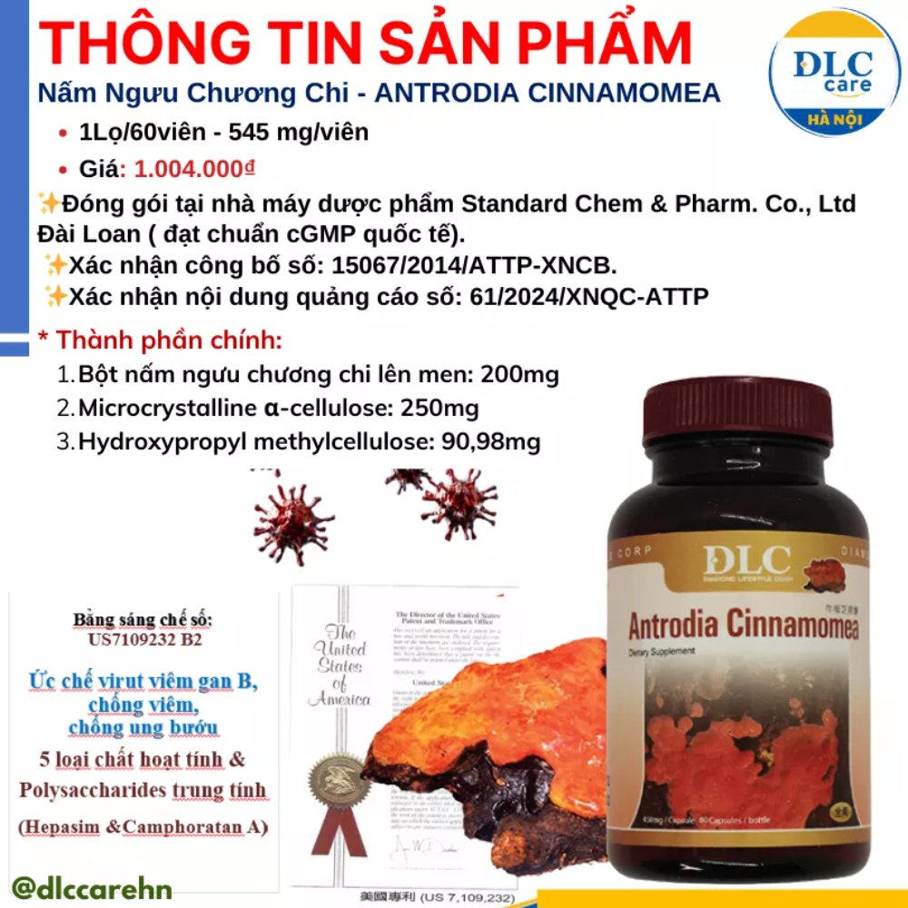 Nấm ngưu chương chi (Taiwan)