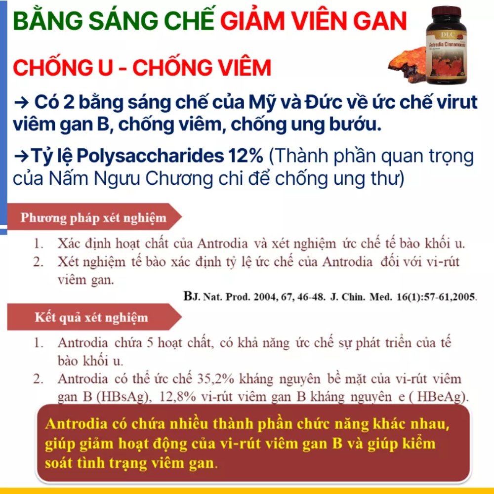 Nấm ngưu chương chi (Taiwan)