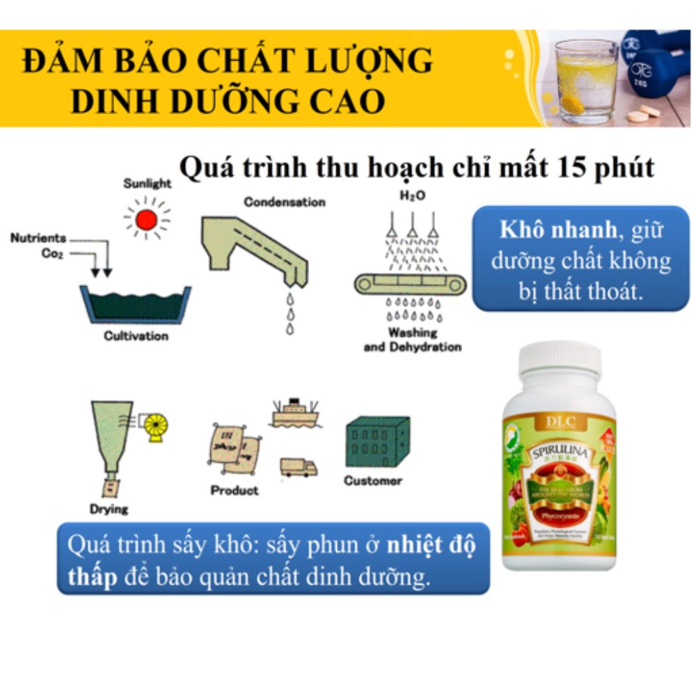 Tảo Spirulina Plus